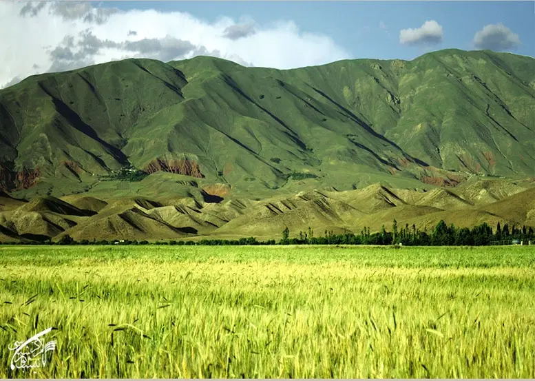 فروش زمین زراعی ملکی جهت ایجاد باغ از اراضی ادگ