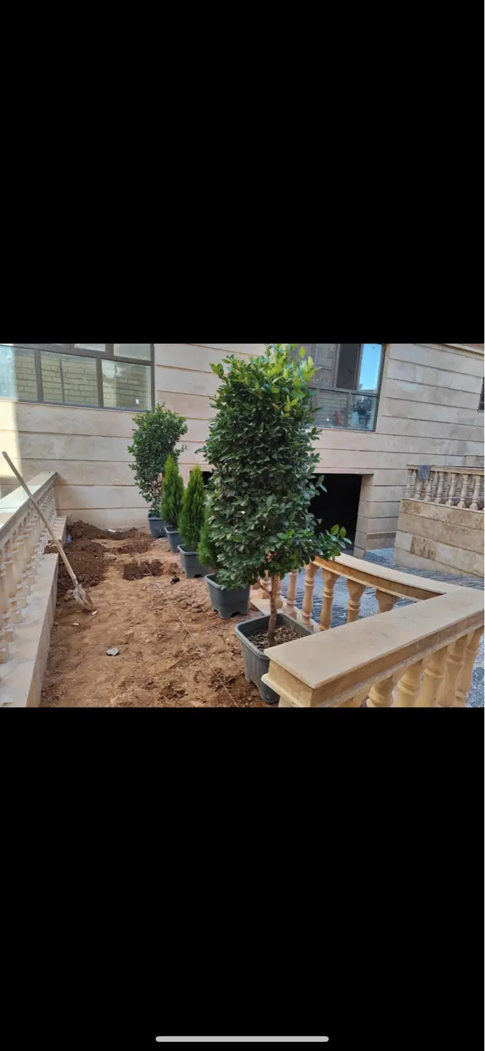 واحد سه خوابه ۱۳۵متری و ۱۵۵متری فروش