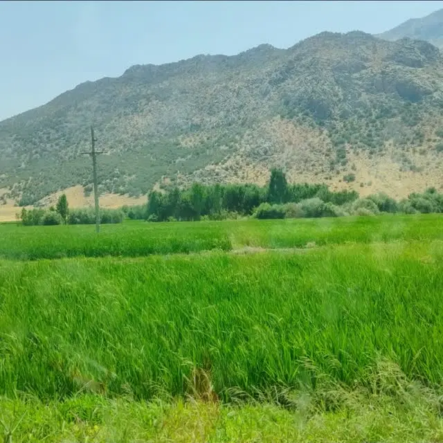 زمین بر جاده خرم اباد الشتر