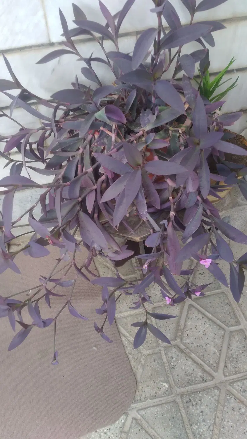 آپارتمان نوساز