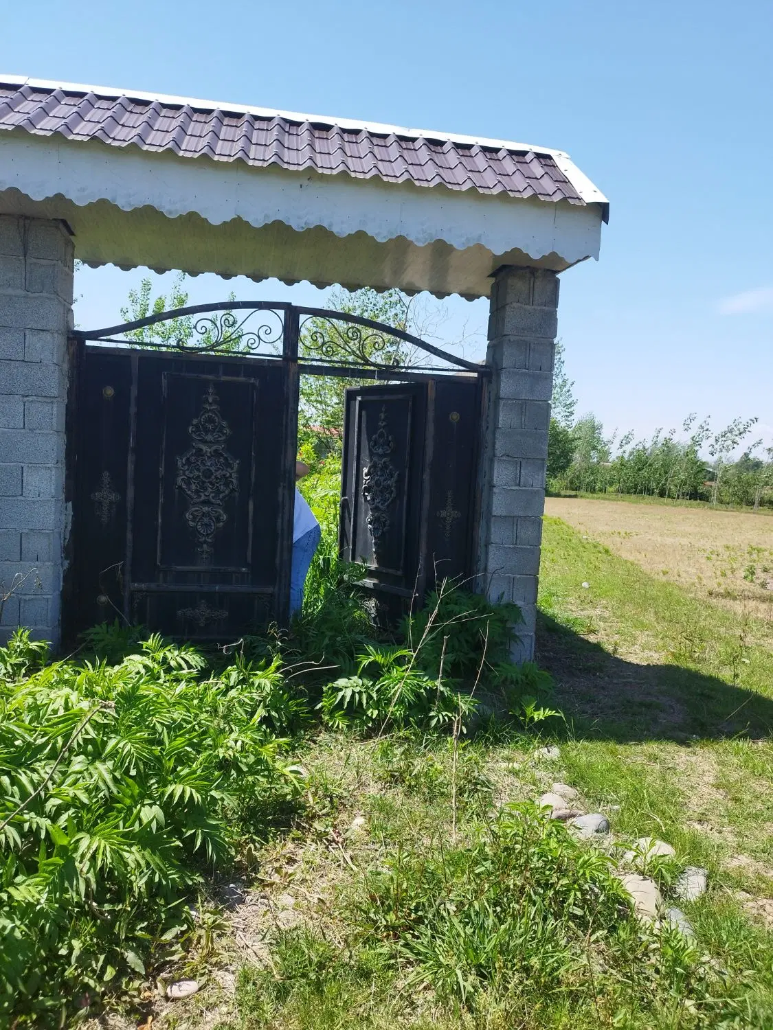 زمین دوردیوارباپروانه۴۲۰متر