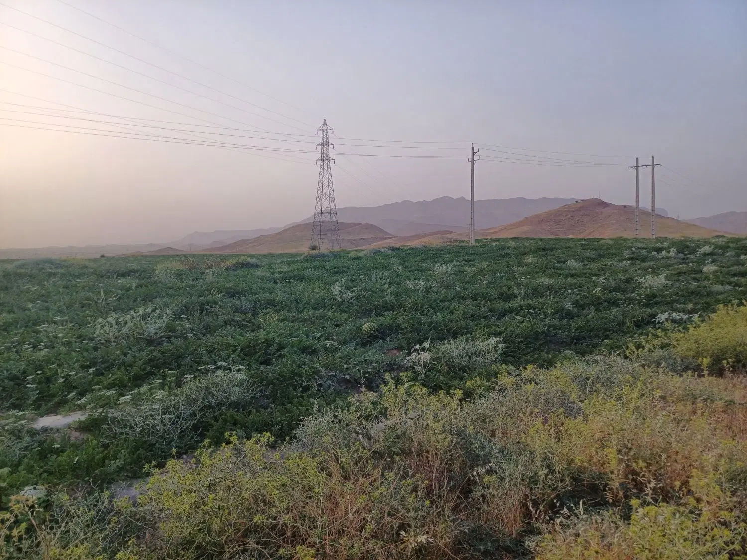 زمین اجاره ای