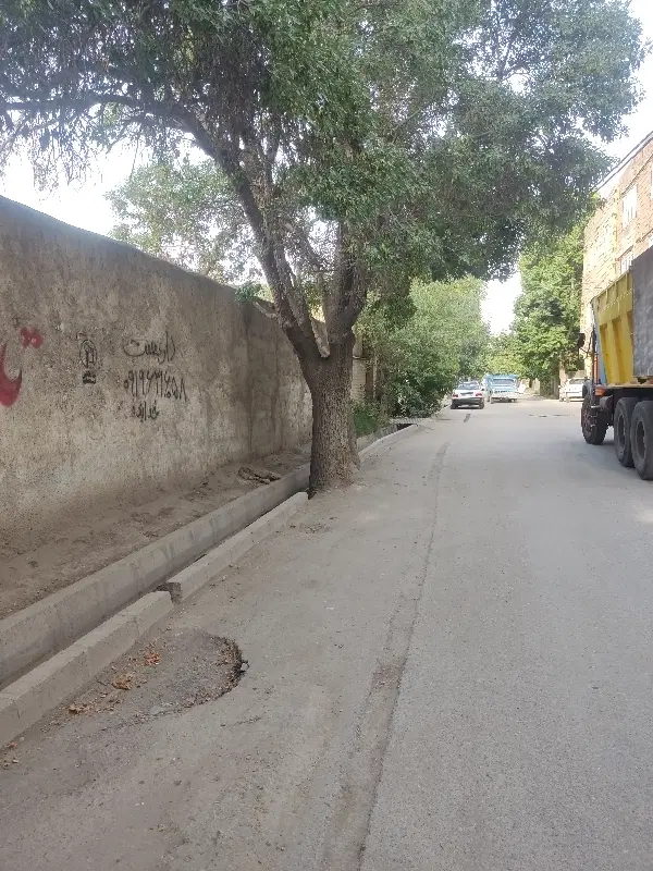 زمین