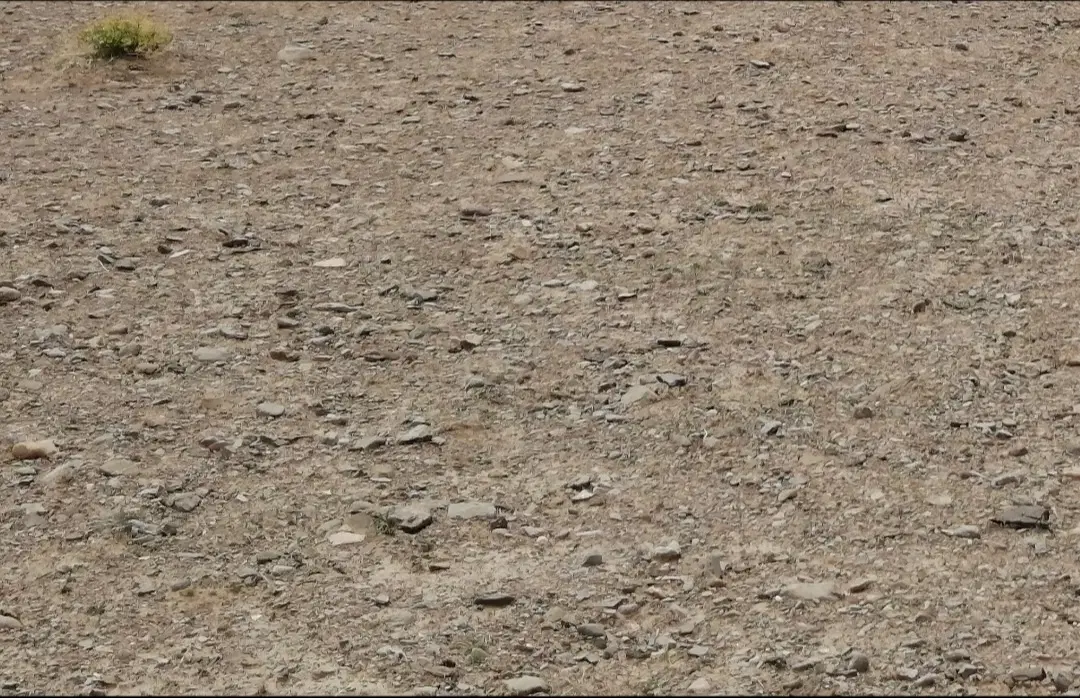 زمین واقع در روستای گتکوئیه، شهرک رسالت