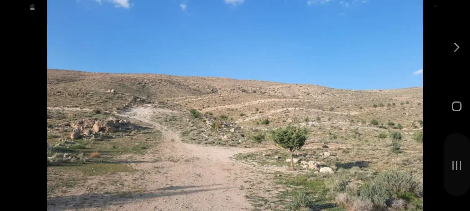 زمین باغ مسکونی قصر سبز