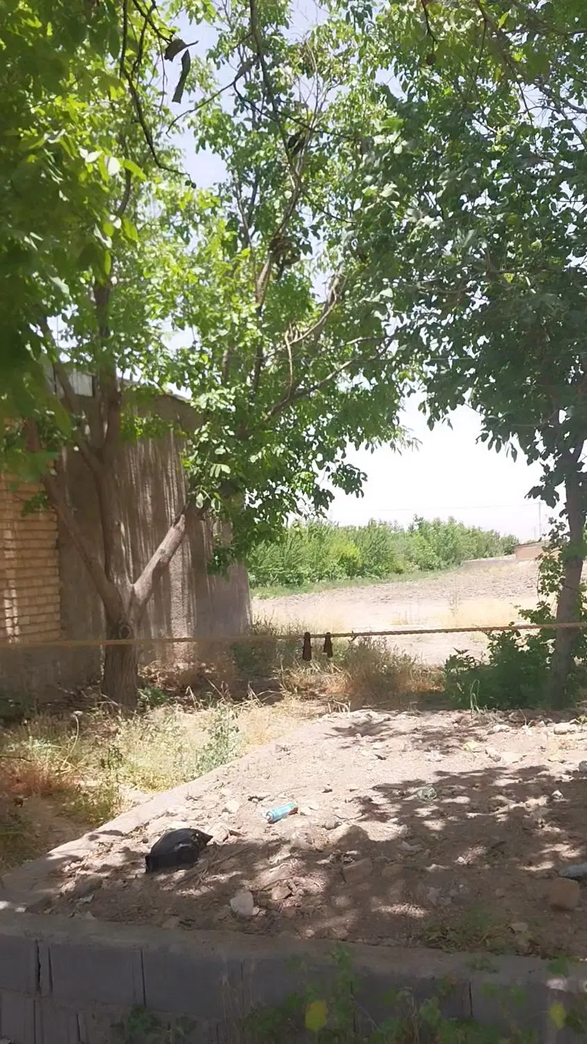 فروش زمین ملکی باغی