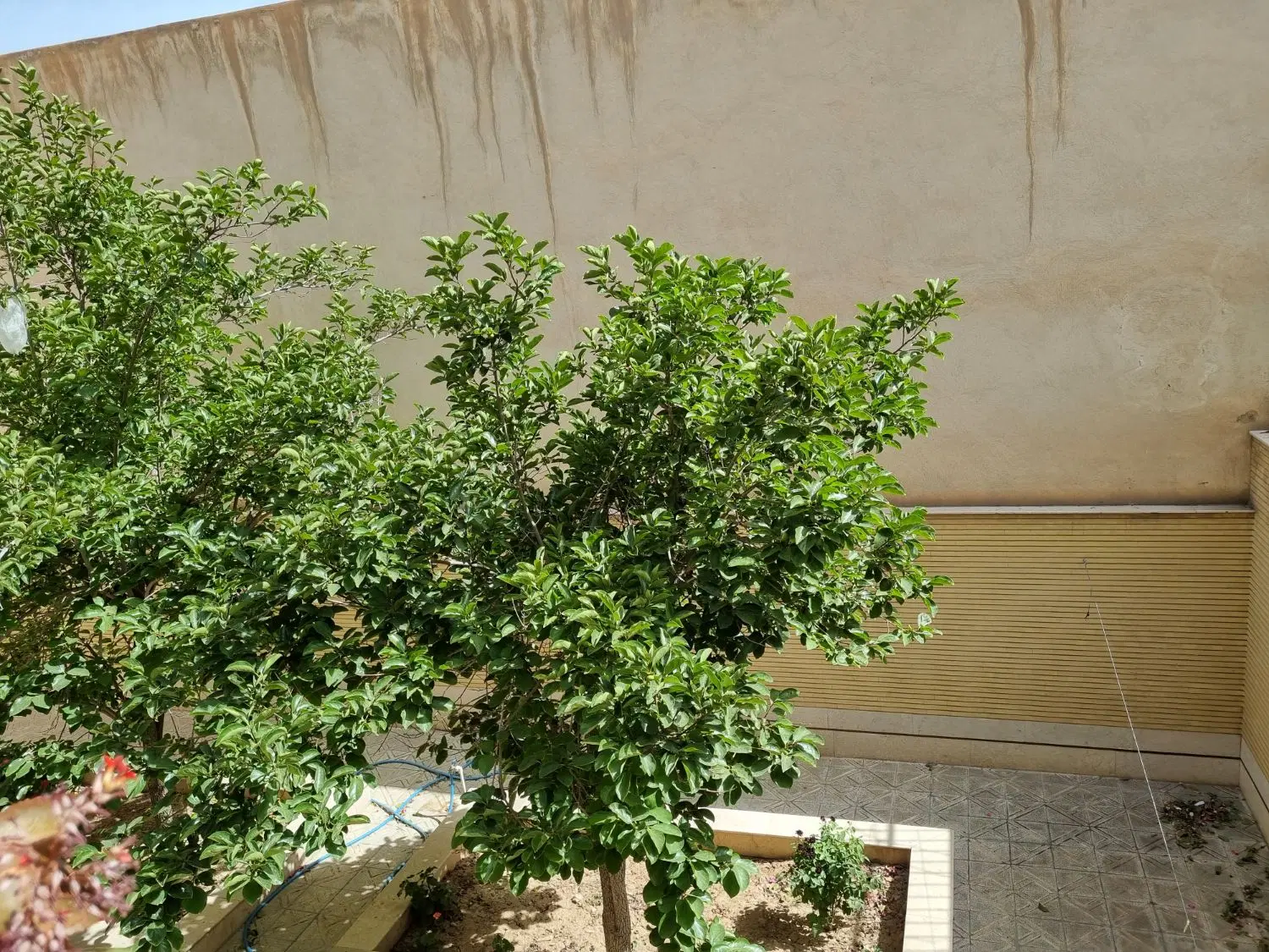 نیاز مند هم خونه خانم توافقی