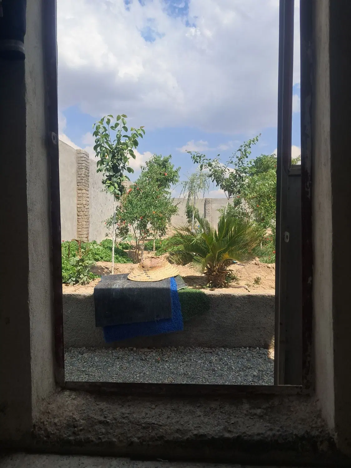 باغچه فروشی