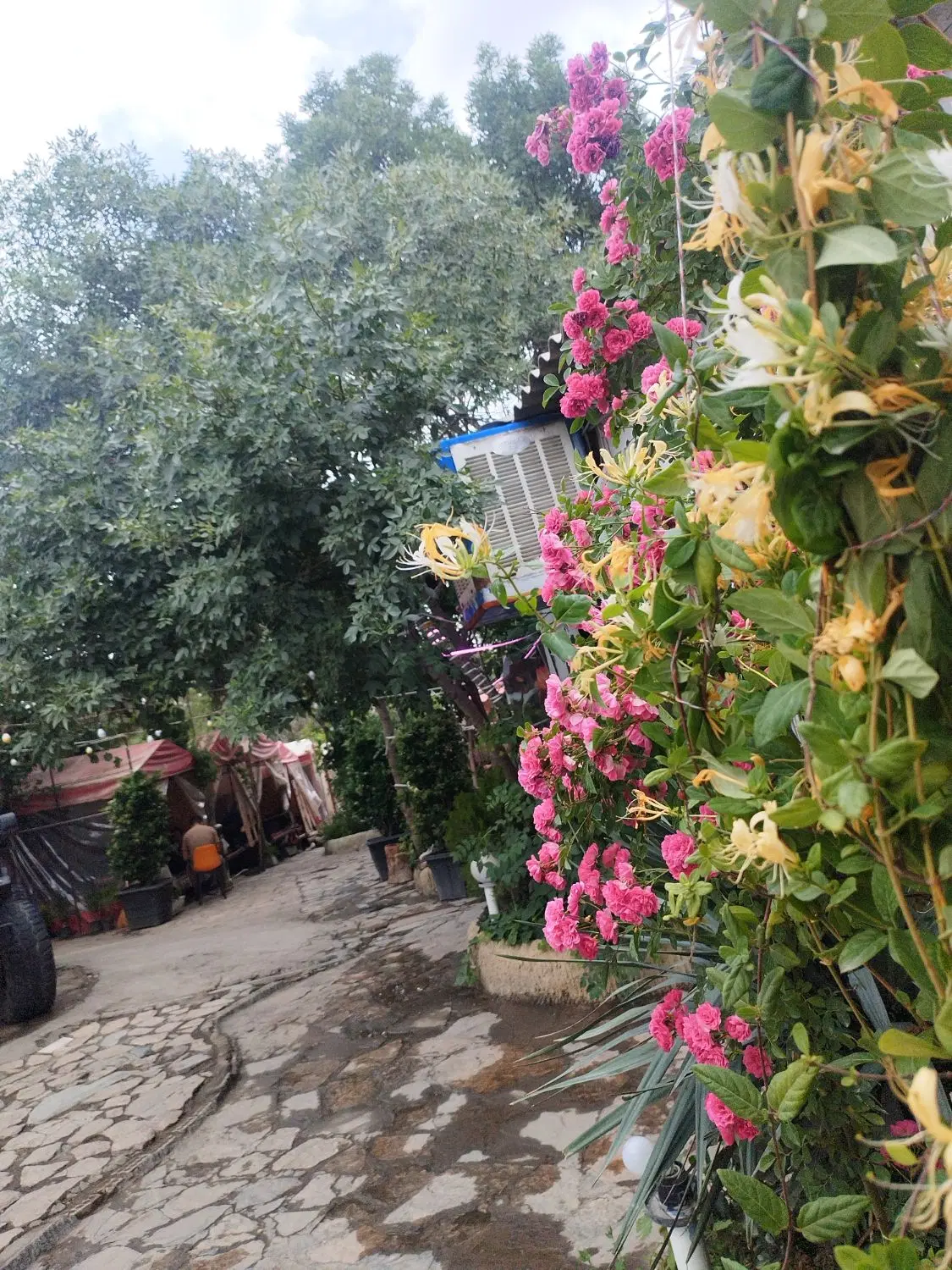 واگذاری کافه