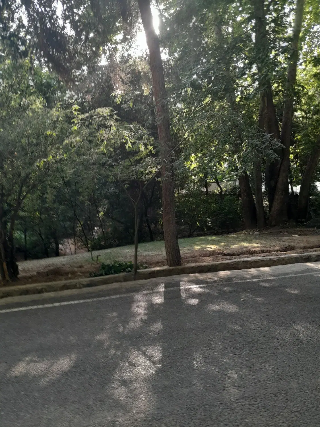 باغچه ۴ دیواری