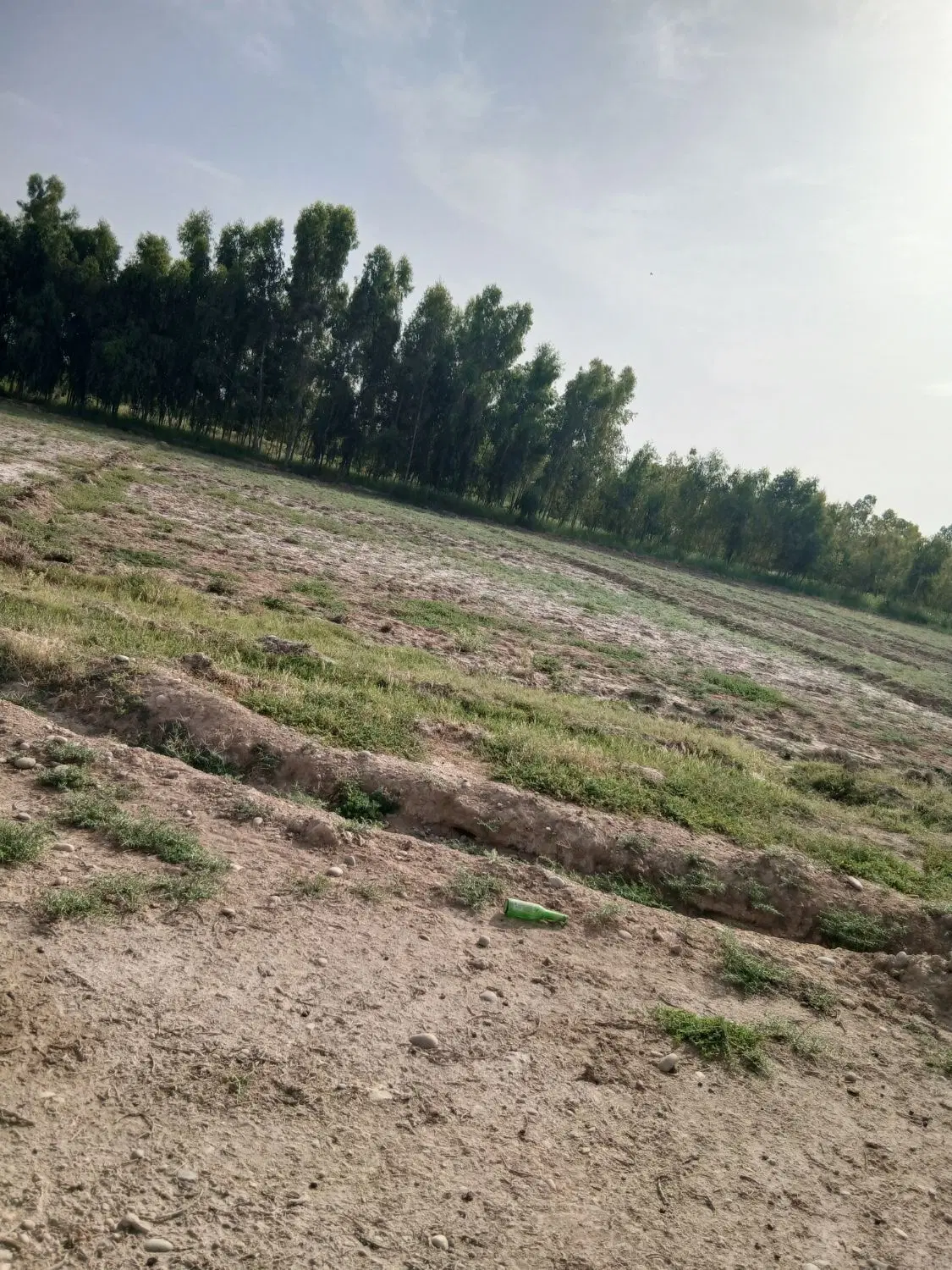 فروش ۱۰۰۰ متر زمین کشاورزی در جنت مکان