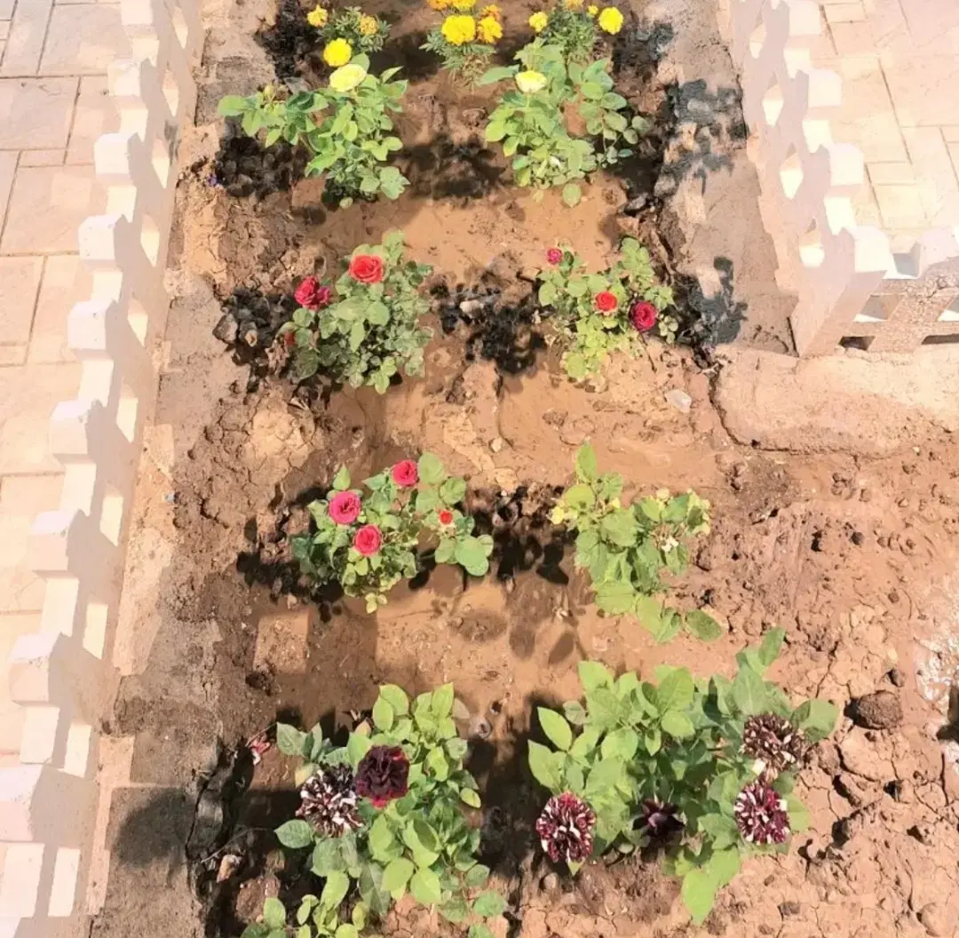 منزل ۲ طبقه