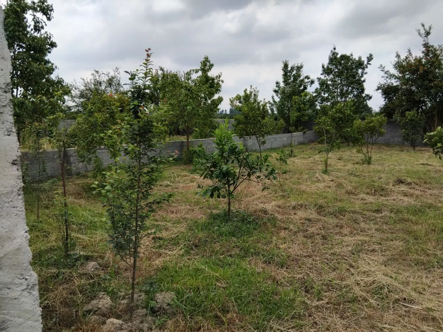 فروش زمین به متراژ 150متر با برق _روستای قراخیل