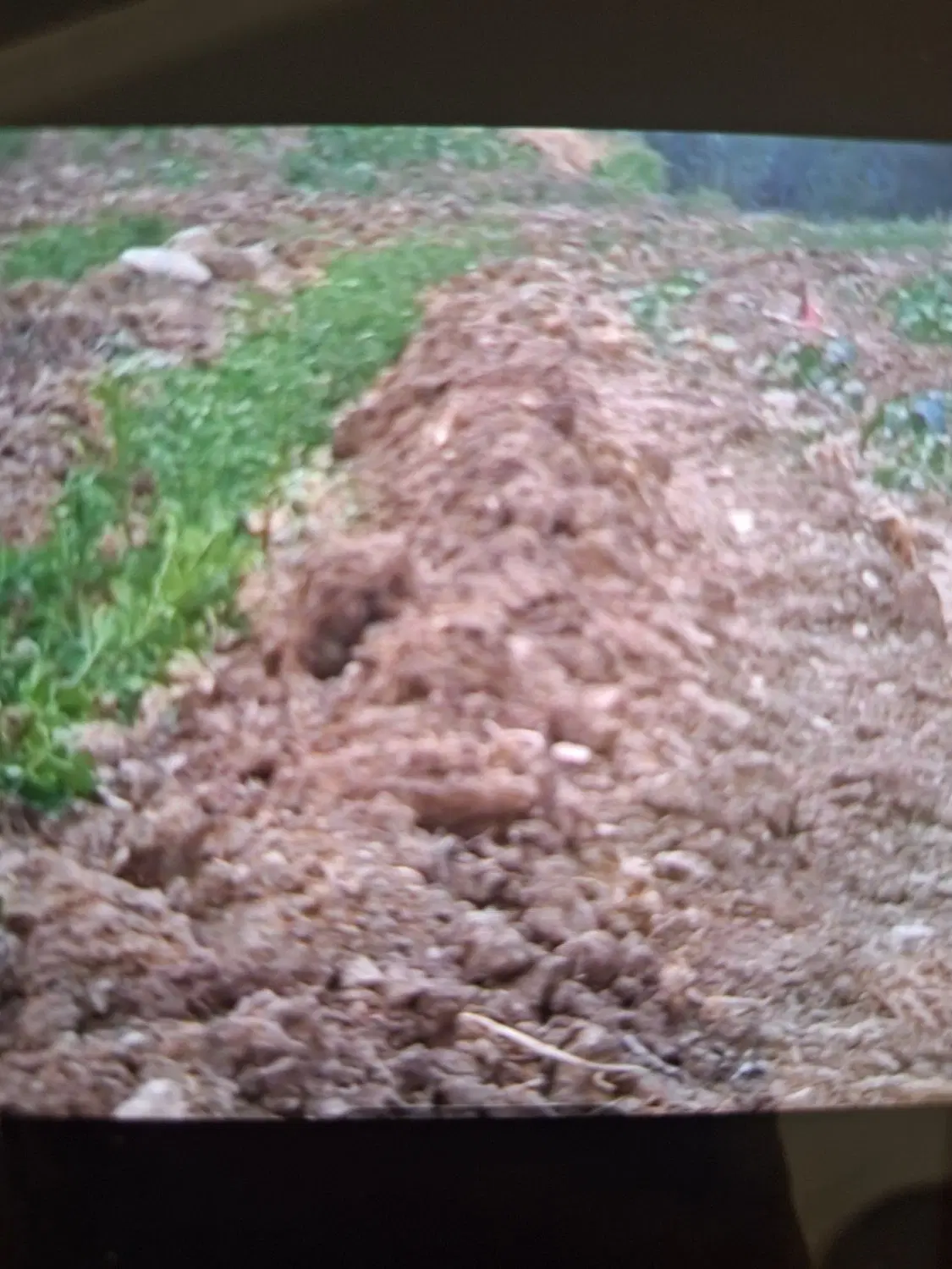 فروش زمین
