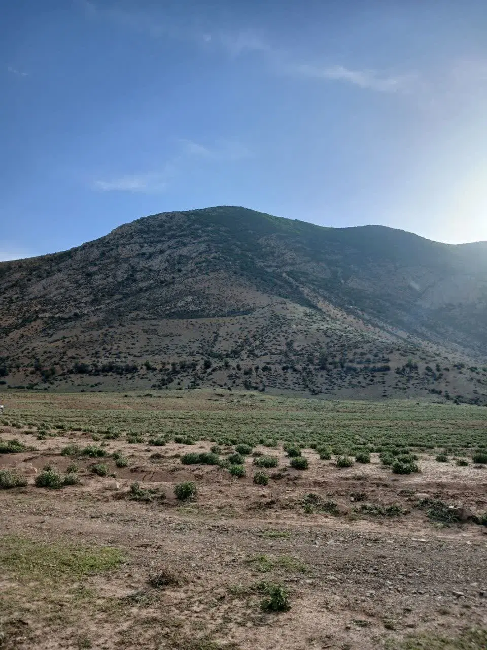 فروش زمین روستای انگیل