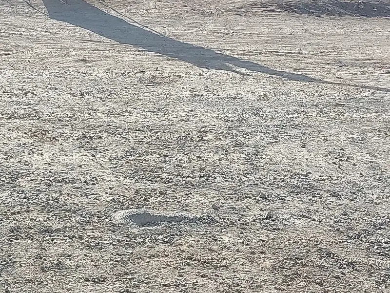قطعه ای زمین در تنگ چنار