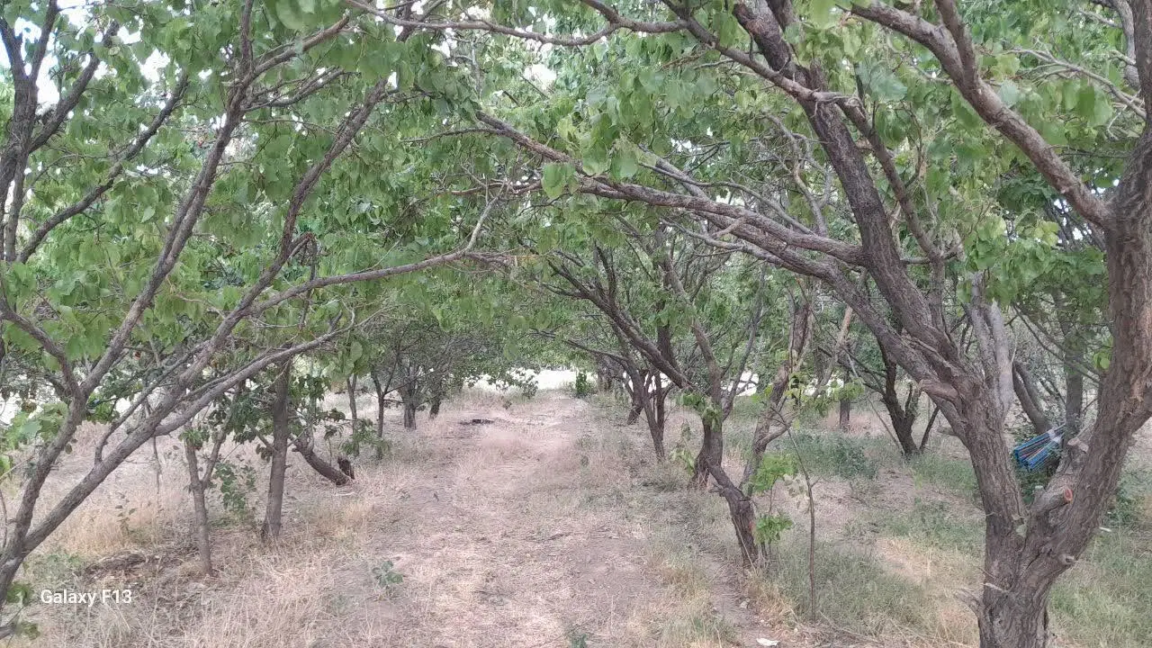 زمین ۳۵۰ متر قابل ساخت _خاوه (کوچه قمی ها)