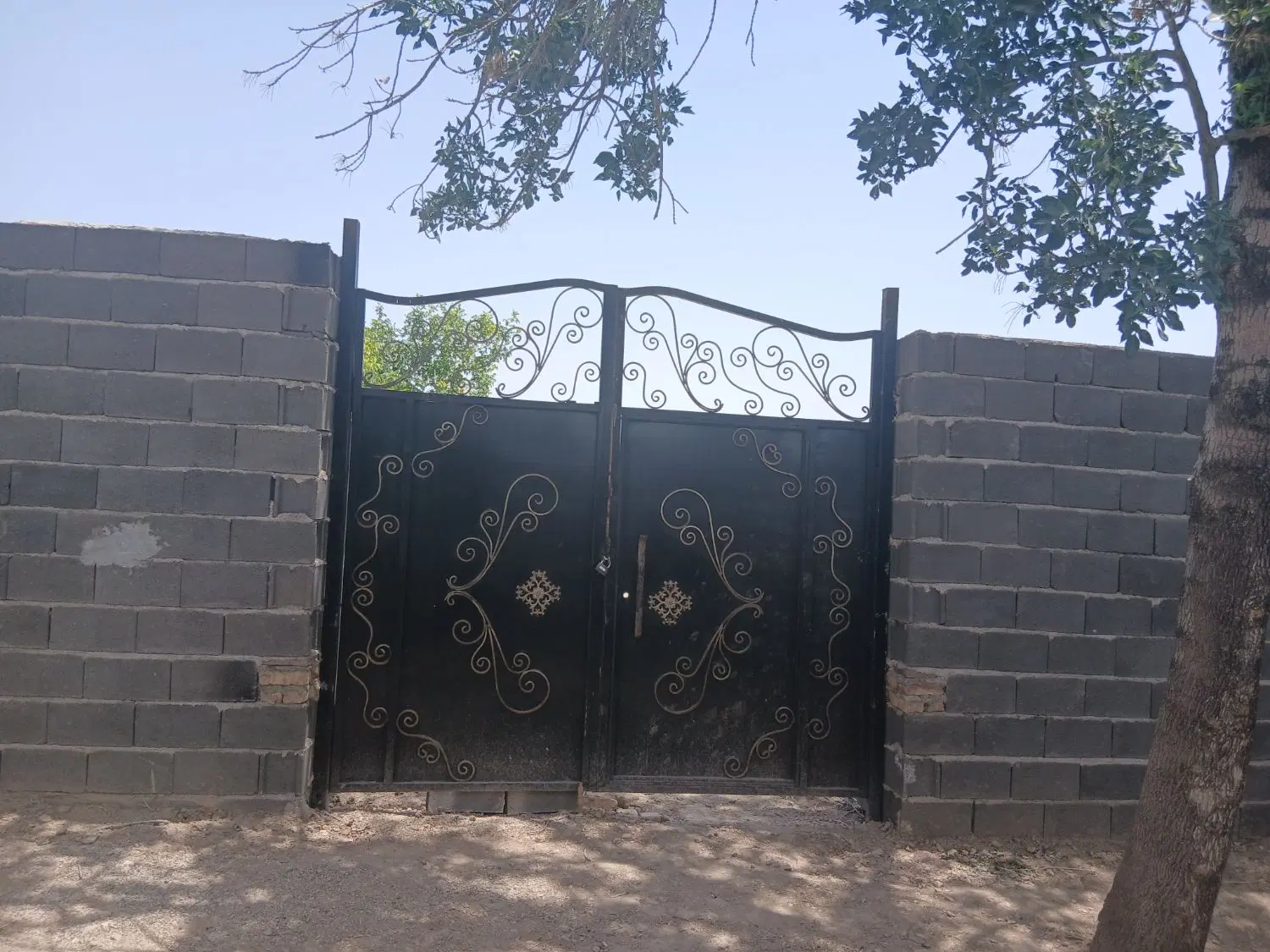 زمین 250 متری