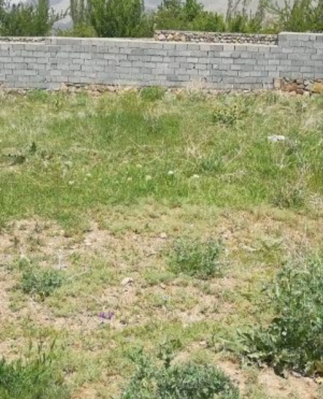 زمین فروشی خیابان حمزه ۲