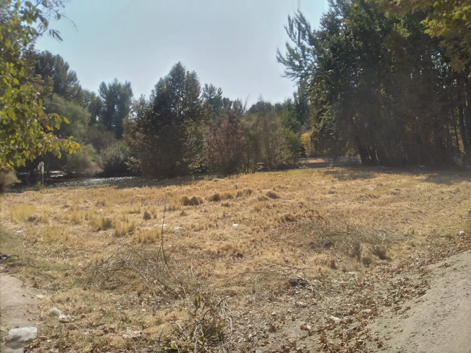 فروش زمین مسکومی چشمه توتی