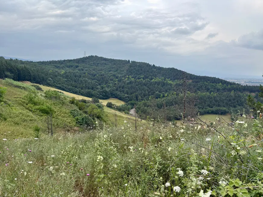 زمین داخل بافت (رامیان- روستای توریستی پاقلعه)