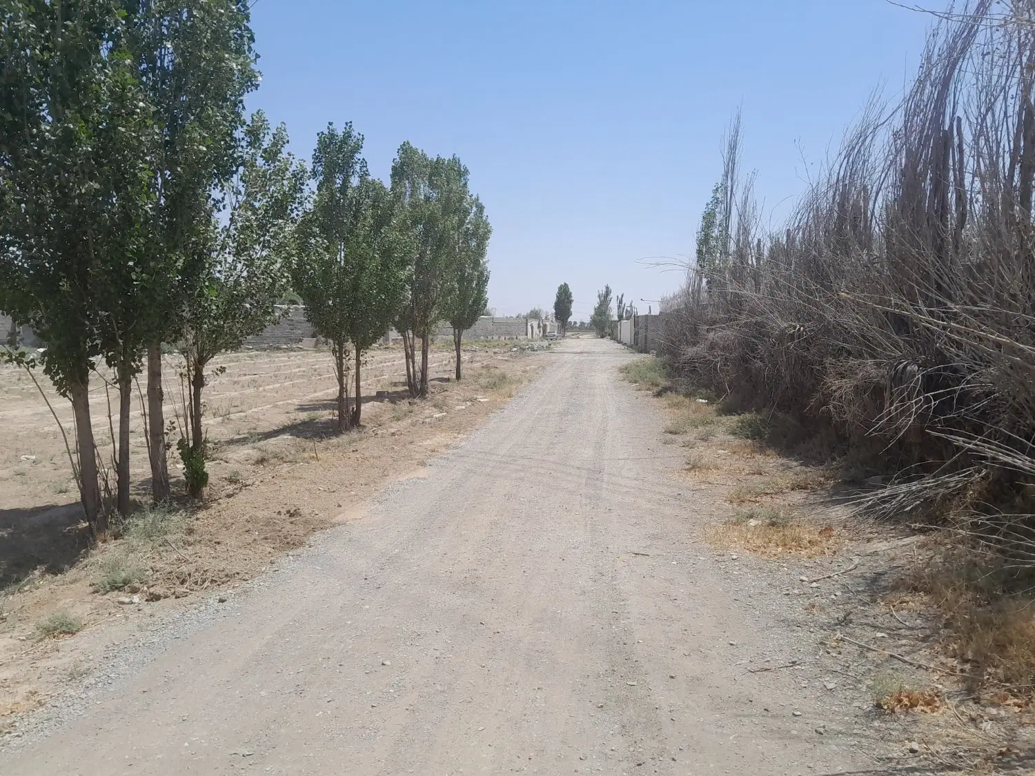 زمین باغ سند تک برگ با آب و برق