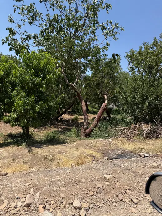 ۴۲۰متر خوشنقشه با انشعابات و سند تک برگ در جابان
