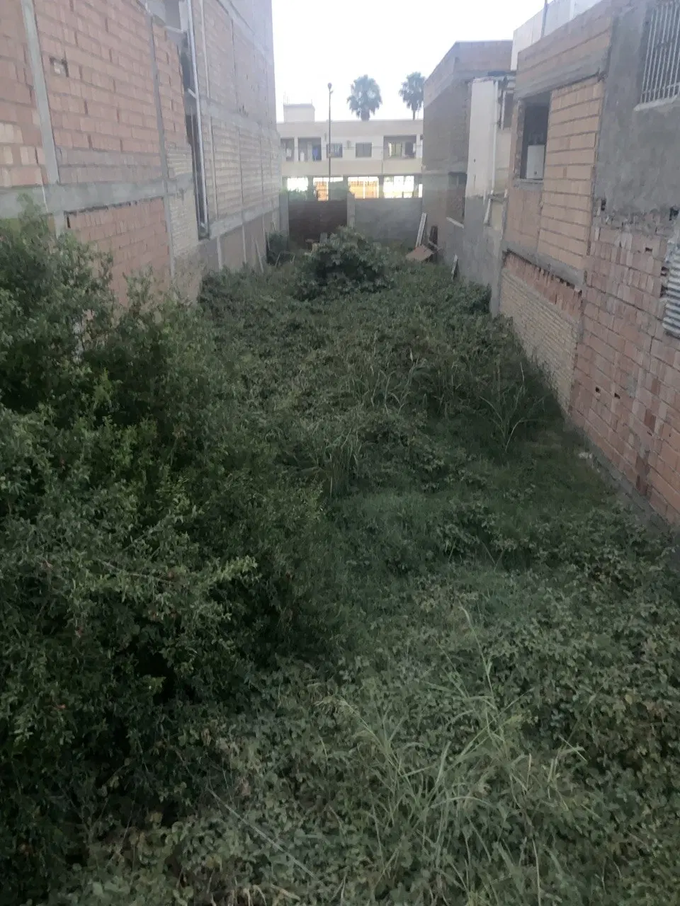 فروش زمین در محدوده شهری(300 متری)