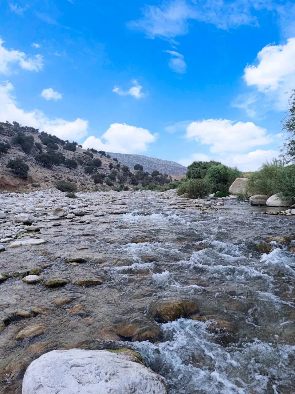 زمین نیکنیا کوچه اول210