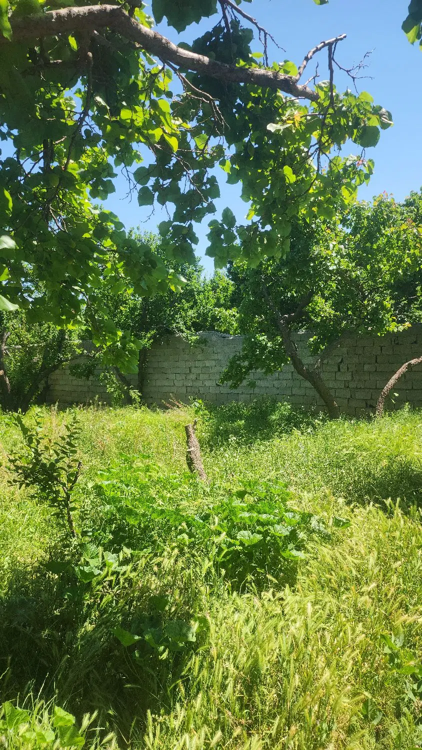 ۳۰۰متر سند تک برگ آب برق گاز شهریار