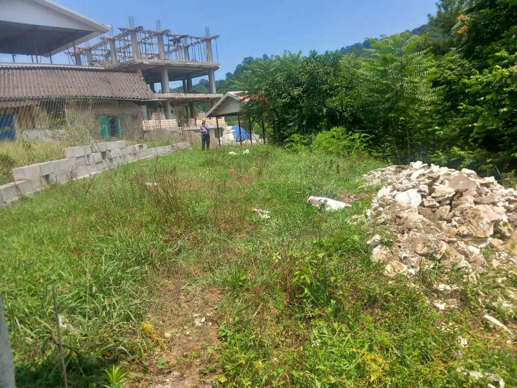 زمین مسکونی سند تک برگ