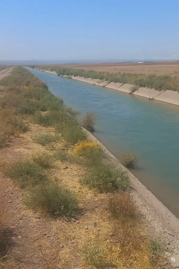 نظام آباد یک هکتار  زمین کشاورزی