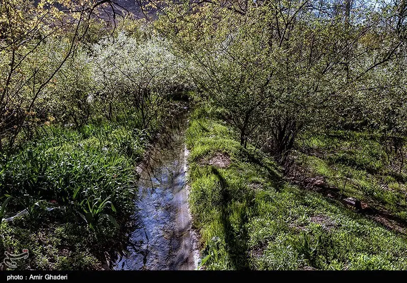 زمین مسکونی ۶۲۷متری درخوانسار