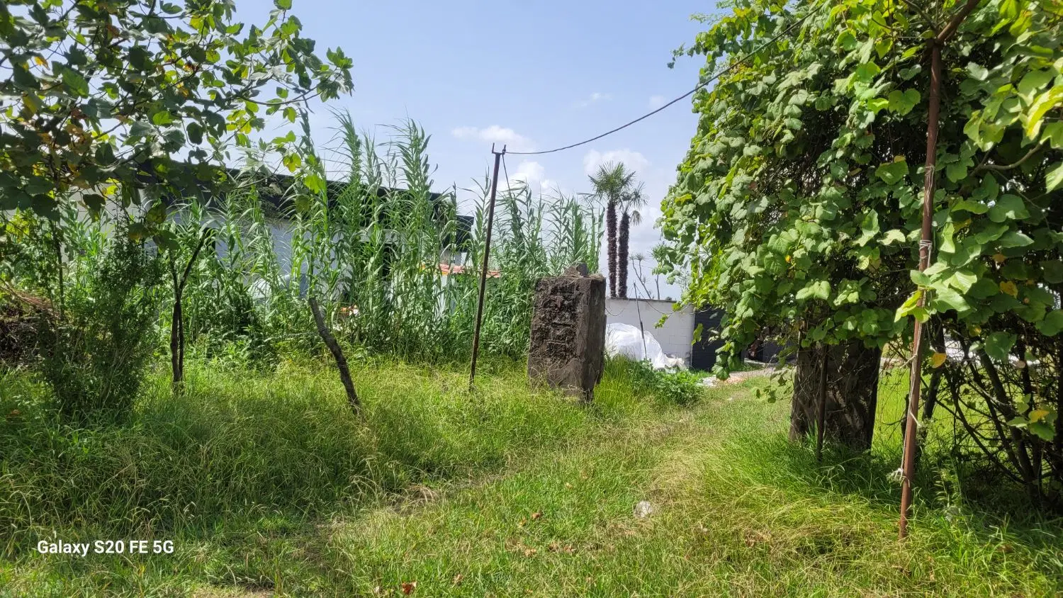 زمین مسکونی