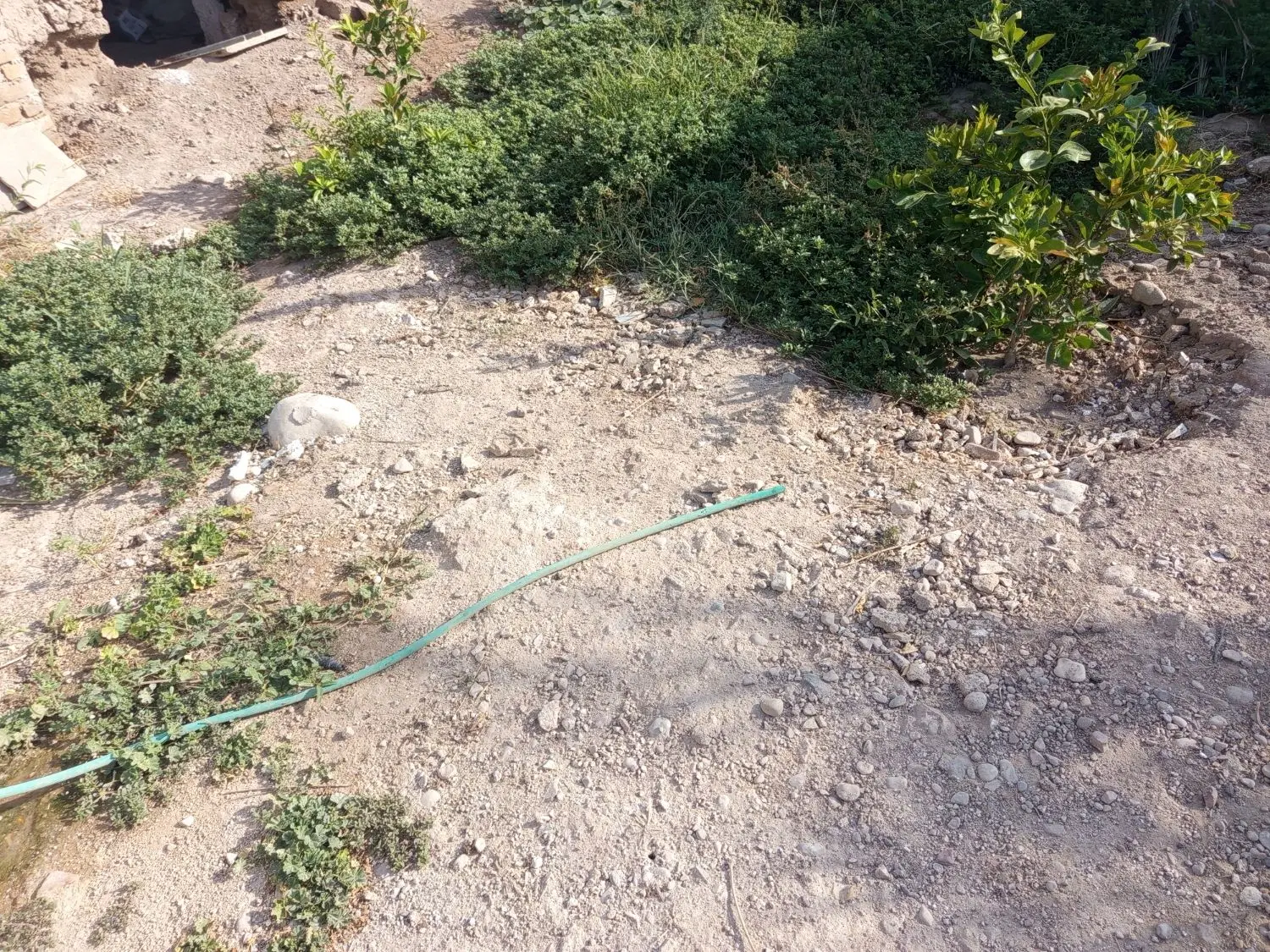 زمین مسکونی  تجاری