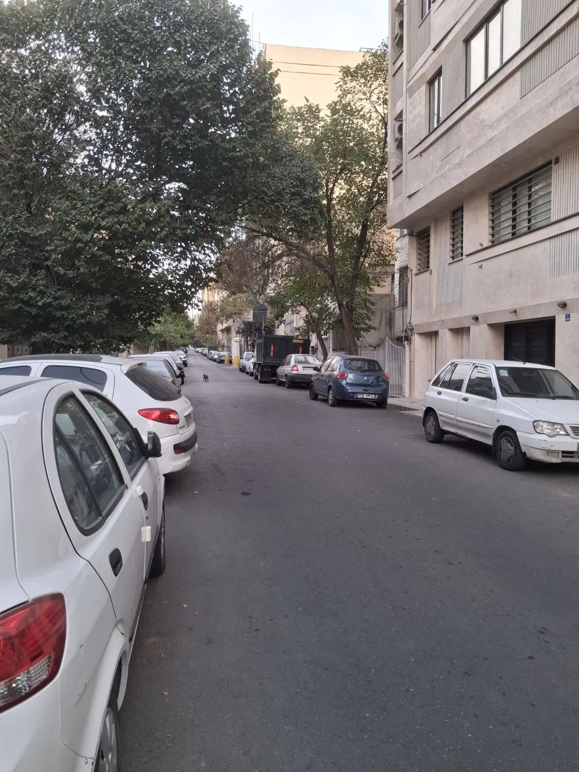 ۶۷متر  ۲خواب  فلکه سوم