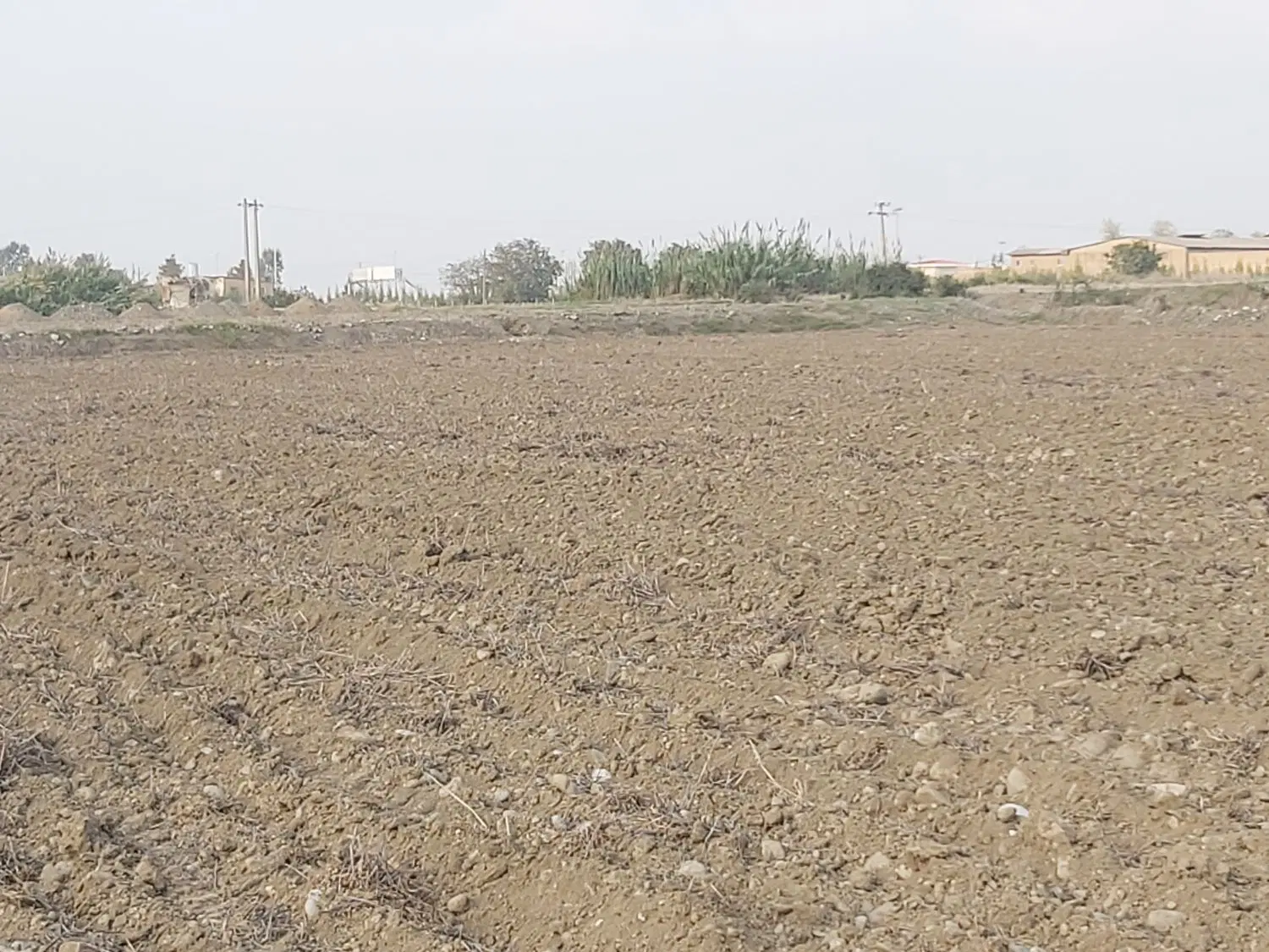 فروش ۱هکتار زمین کشاورزی