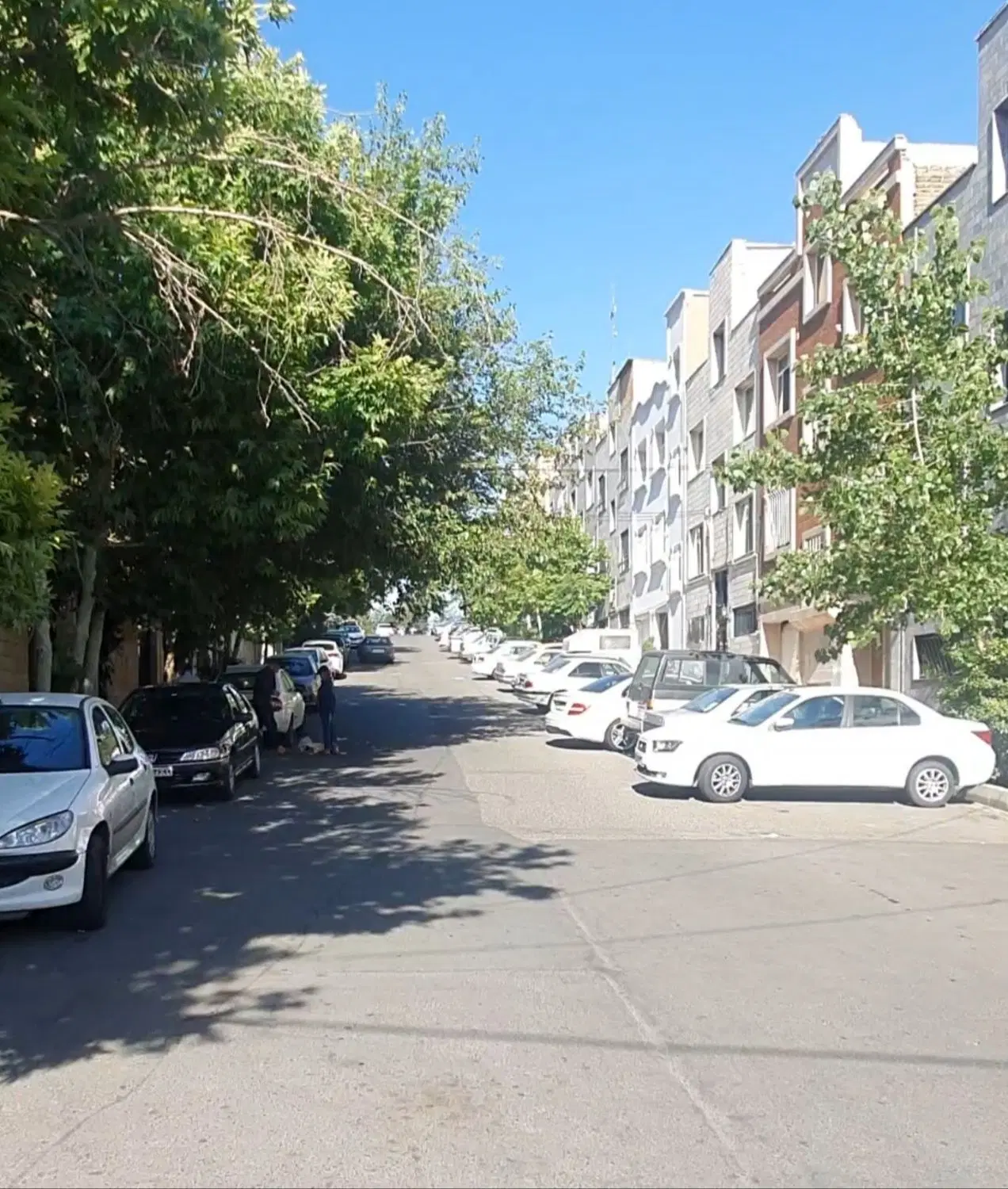 سعادت آباد شهرک مخابرات ویلا دربست اجاره