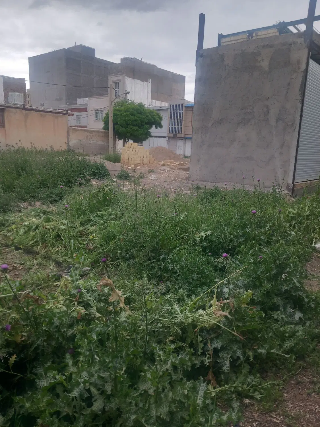 زمین تجاری