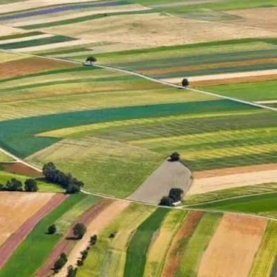 زمین کشاورزی