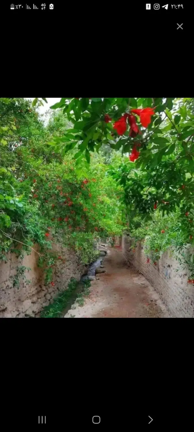 باغ مرزیجران خوش قیمت خانوادگی مناسب سخت پسندان