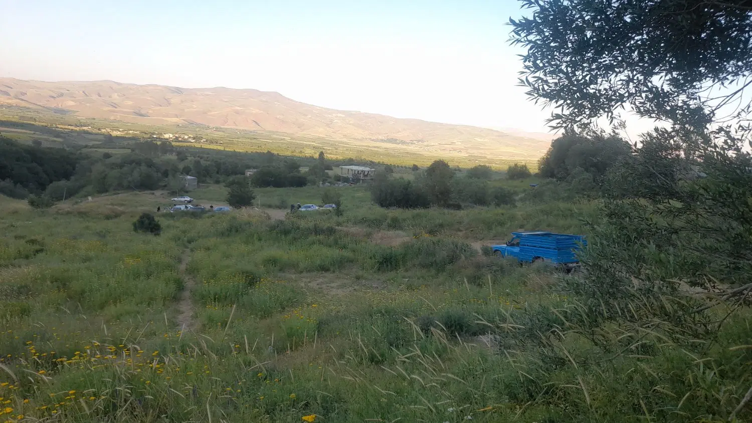 فروش زمین مسکونی در محمودآباد شاهین‌دژ