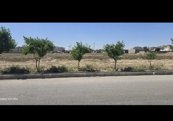 زمین  دو‌نبش  دادگستری