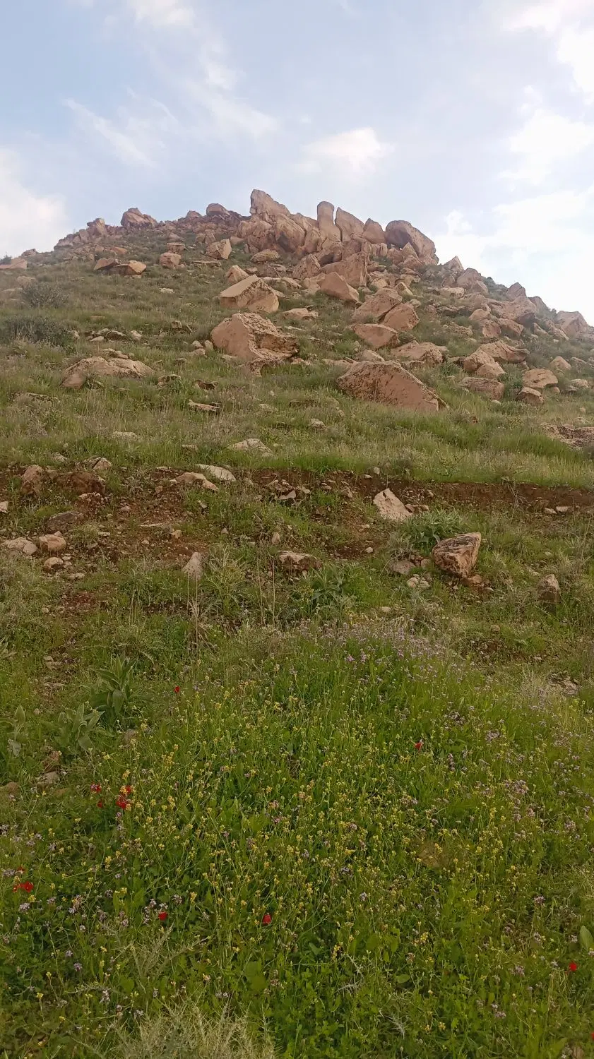 فروش زمین فاز سه شبکه بهداشت