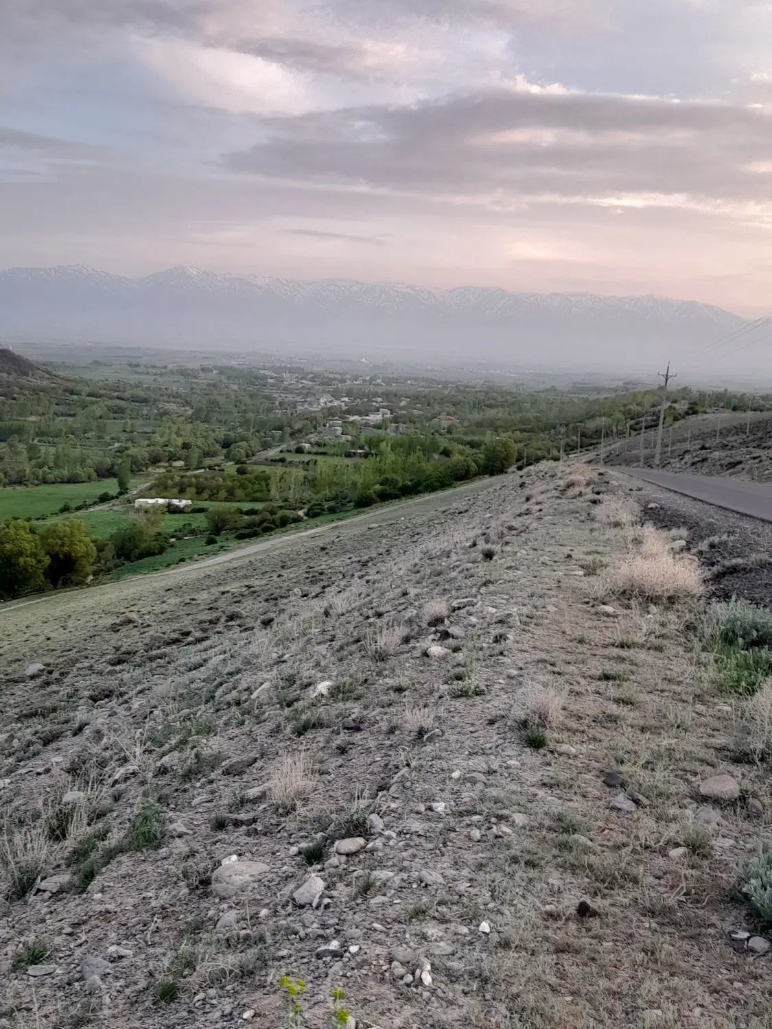 زمین مسکونی در روستای هولیق واقع در سراب