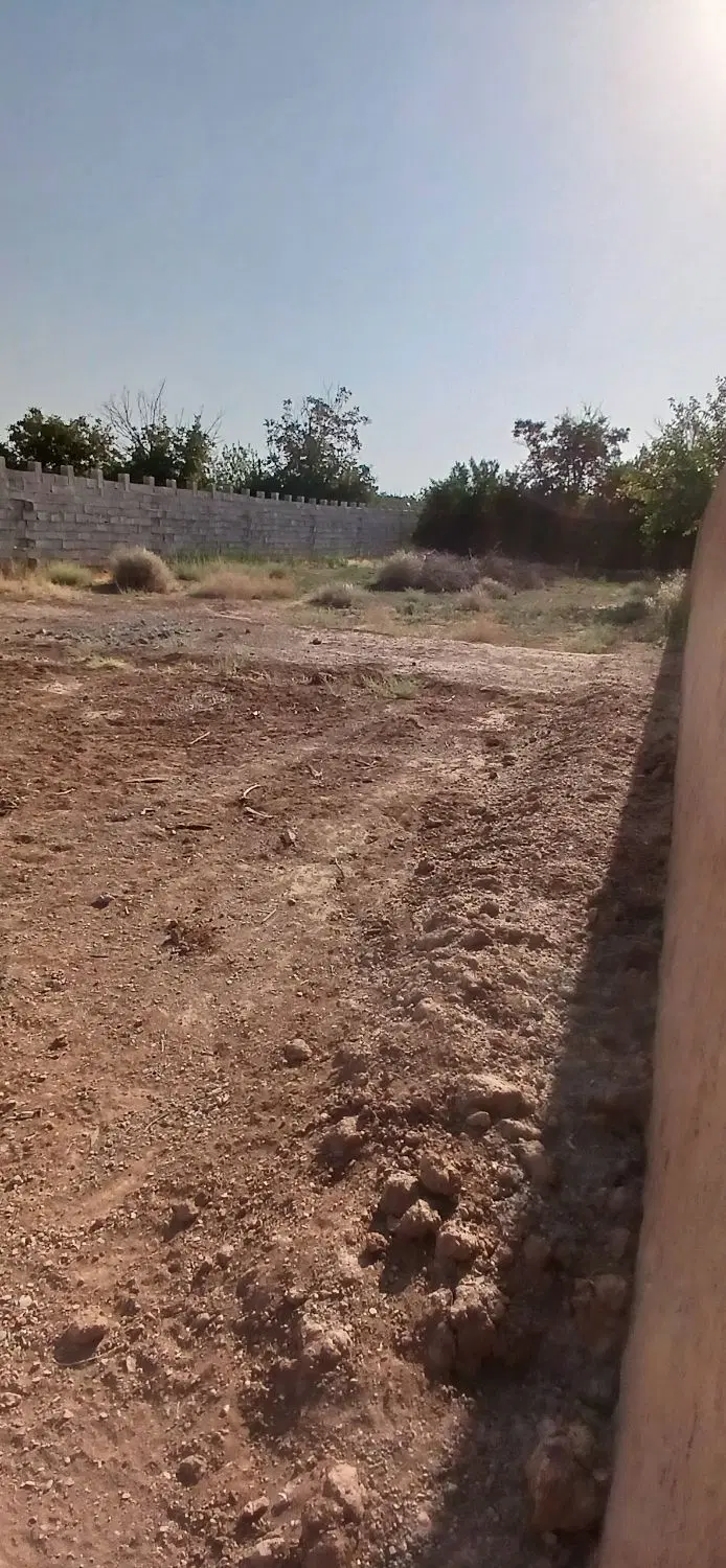 فروش باغ ۶۳۱متری قلعه سفید  با آب چاه وکانال