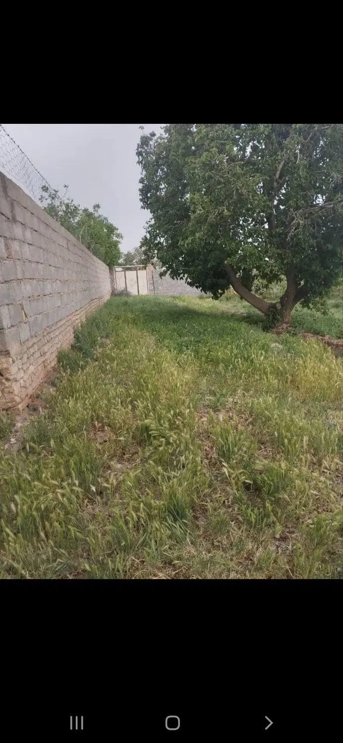 زمین درابوسعدی