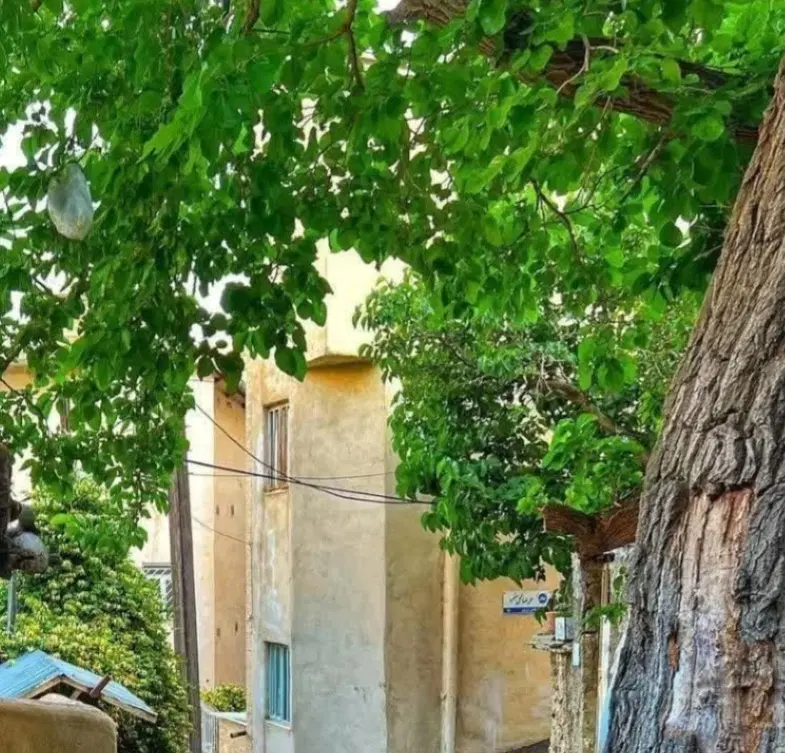 خانه ویلایی نمره یک