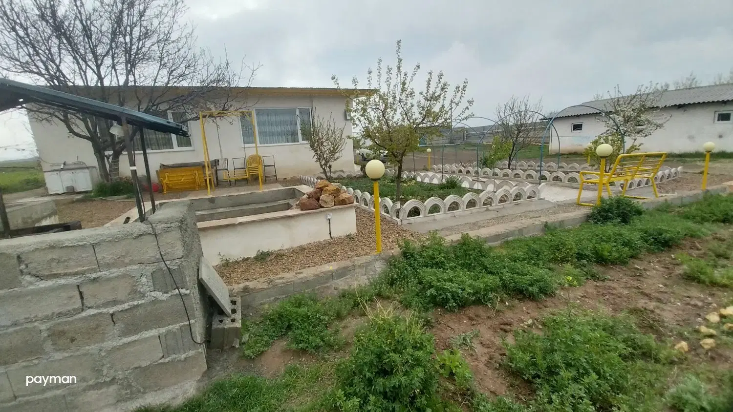دامداری