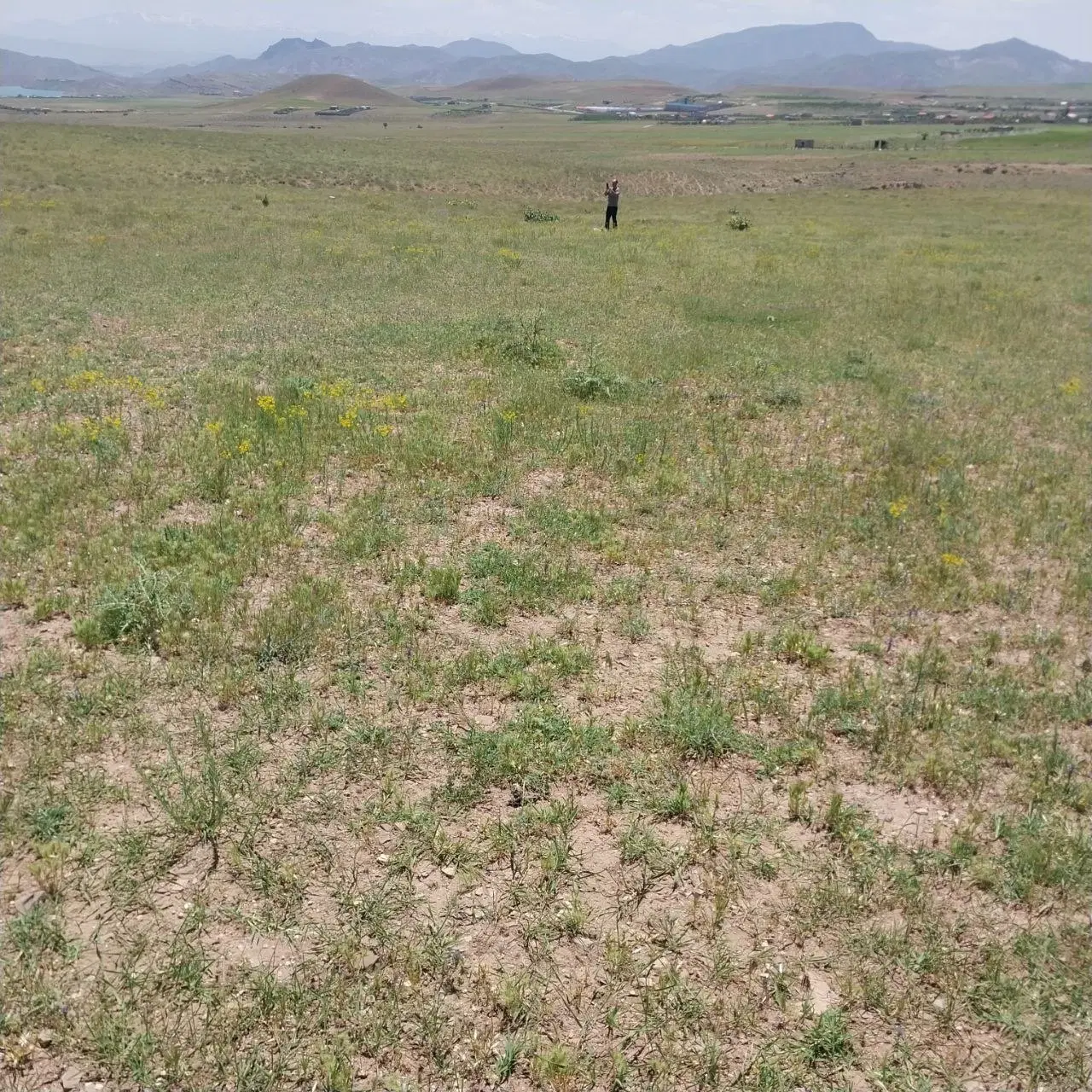 زمین ویلایی
